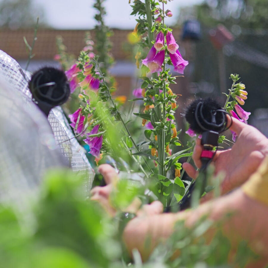 Person recording nature audio outdoors with handheld microphones